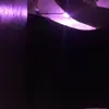 Cadence Mcleod - @cadence.mcleod - TikTok