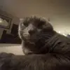 Caden - @caden.merrill - TikTok