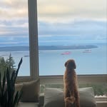 Cade Metzler - @cademetzler - Instagram