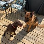 cade - @_cademills - Instagram