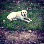 Cade - @cademills1 - Instagram