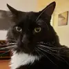 cadenmontgomery1 - @cadenmontgomery1 - TikTok