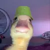 Cade Moss - @mossy0_o - TikTok
