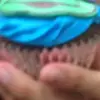 cade_moss - @cade_moss - TikTok