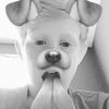 Cade Murphy - @cademurphy - TikTok