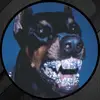cade.nelson - @cade.nelson - TikTok