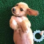 Dom - @cade.o.dom - Instagram