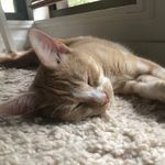Caden Potter - @cadenpotter3507 - Instagram