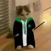 Harry Potter 😼🦋 - @cadelinha_harrypotter_ - TikTok