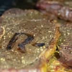 Cade& Jessica Richmond - @richmondbeef - Instagram