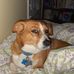 Cade Stanfield - Facebook