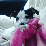 staudinger adeline - @adelinestaudinger67 - Instagram