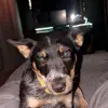 Caden - @cadenwebster369 - TikTok