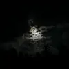 cadenwebster218 - @cadenwebster218 - TikTok