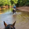 cadenwebster7 - @caden.webster87 - TikTok
