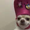 Cade - @cade.williamson - TikTok