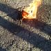 Cade Williamson - Facebook