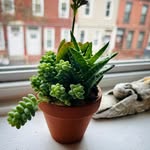 Caden Crane - @norhyme_or_reason - Instagram