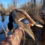Caden Perry - @cadenperry8 - Instagram
