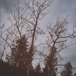 caden stevens - @caden_photography8 - Instagram