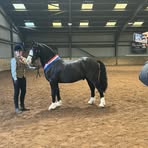 Cady Mcloughlin - Facebook