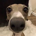 Caesar Lopez - @caesar1793 - Instagram