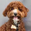 itsjessiethedoodle - @caesarrivera - TikTok