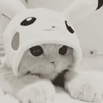 Cahit Topçu - @cahittopcu_42 - Instagram