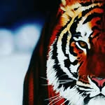 M. CAHİT TOPÇU - @m_cahittpcu_04 - Instagram