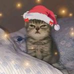 Cai Smith - Facebook