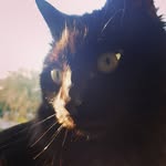 cai - @cai_williams__ - Instagram