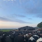 Cai Williams - Facebook