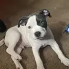 Caiden White - @caiden.white - TikTok