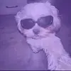 Leah😏 - @caleai.johnson - TikTok