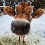 Cain Campbell - Facebook