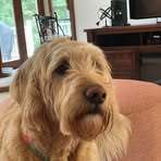 Cain Campbell - Facebook