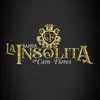 Cain flores y su banda insolit - @bandainsolita - TikTok