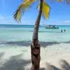 Cait Johnson - @caitlinjohnsonxx - TikTok