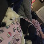 Caitlin Baird - @caitlin_slime_queen - Instagram