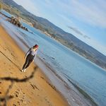 Caitlin Bartley - @caite_bartley - Instagram