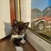 Caitlin Black - Facebook