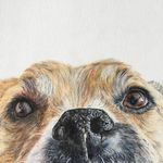 Pet Portraits by Caitlin - @caitlinbrittonart - Instagram
