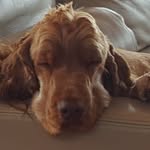 Craig Edwards - @buddy_and_caitlin - Instagram