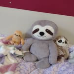 Caitlin - @caitlin_butterfly20_ - Instagram
