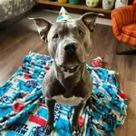 Caitlin Calder - @prettiesofthepast - Instagram
