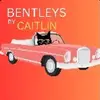 Caitlin Casazza - @caitlin.casazza - TikTok
