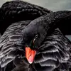 caitlincline30 - @caitlincline30 - TikTok