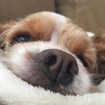 Caitlin Conrad - @cmclady - Instagram
