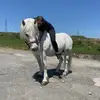 caitlindean - @caitlindeanxo - TikTok