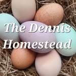 Caitlin Dennis - @thedennishomestead - Instagram
